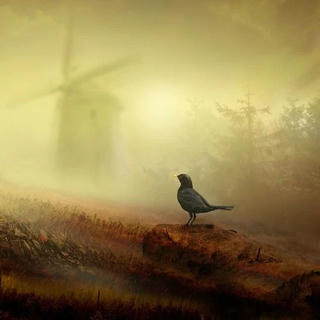 A bird on a rock on the ground with a windmill visible through the mist in the background.